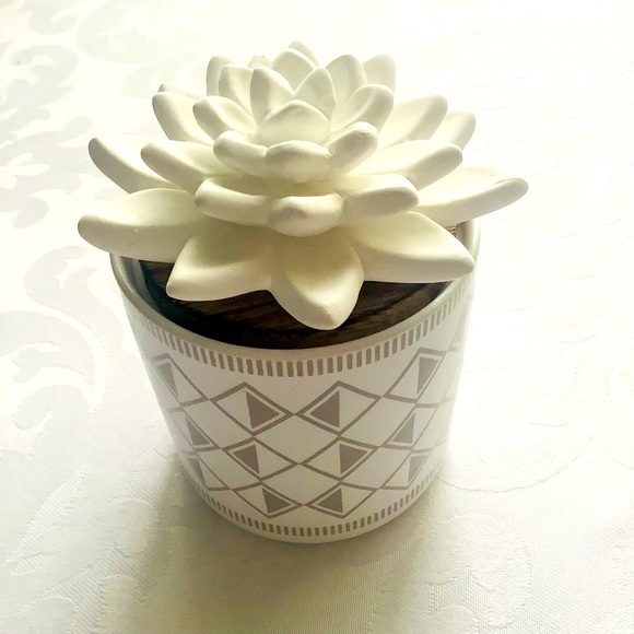 Young Living Succulent Diffuser Calming Refreshing Comfort - Picture 2 of 6